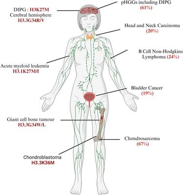 Emerging roles of cancer-associated histone mutations in genomic instabilities
